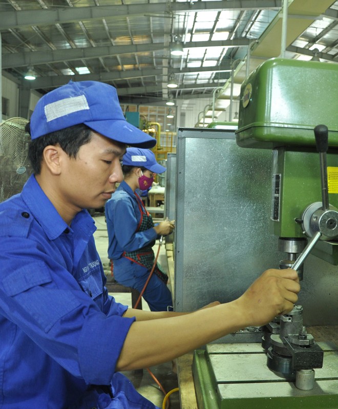 Những ngôi sao quyết thắng - ảnh 3
