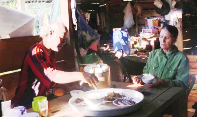 “Người rừng” giữ thông đỏ - ảnh 1