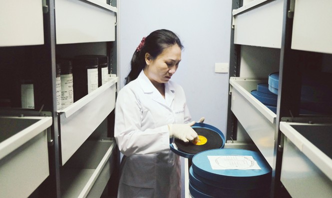 Giải phóng miền Nam từ một góc nhìn khác - ảnh 2