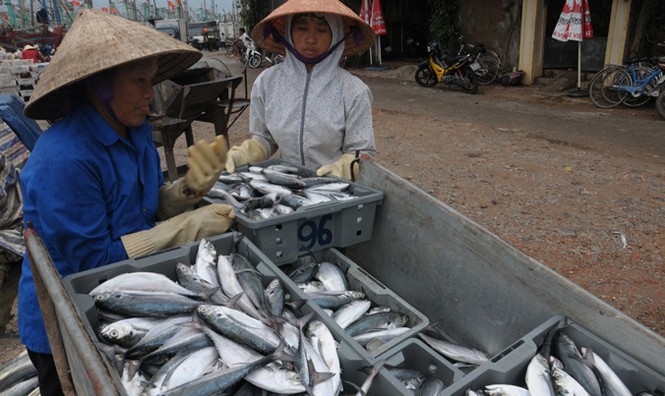 “Chiến binh” biển cả - Bài cuối: Bám biển - ảnh 2