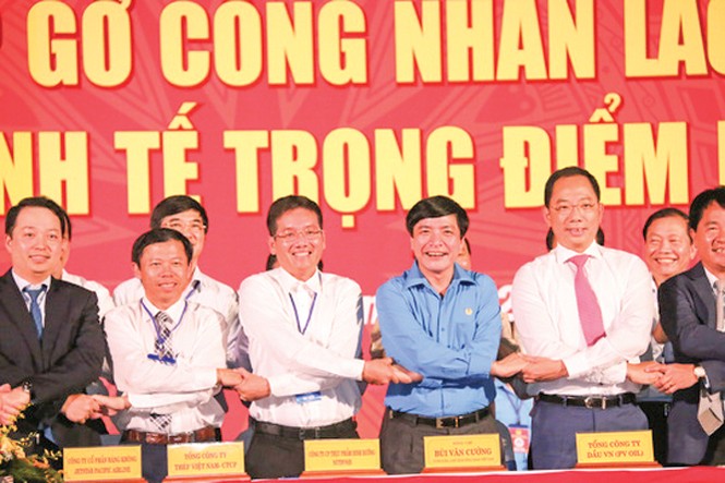 Giấc mơ có thật từ đũa thần chủ trương - ảnh 1
