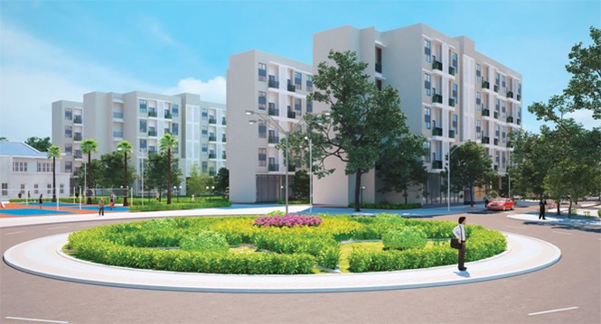 Giấc mơ có thật từ đũa thần chủ trương - ảnh 3