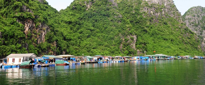 Cách nào phục sinh “hồn cốt” di sản vịnh Hạ Long? - ảnh 1