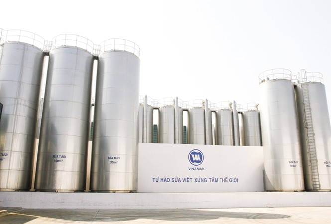 Thoái vốn nhà nước: Càng chuyên nghiệp hiệu quả càng cao - ảnh 2