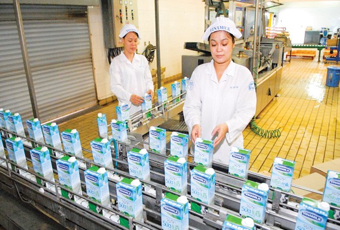 Thoái vốn nhà nước: Càng chuyên nghiệp hiệu quả càng cao - ảnh 1