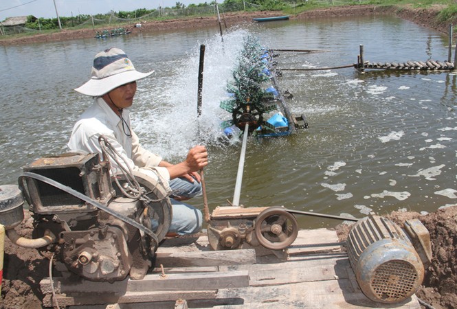 Báo động về tai nạn điện sinh hoạt: Nỗ lực ngăn chặn - ảnh 1
