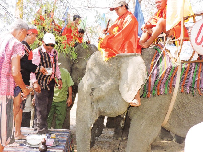 Lễ hội văn hóa du lịch Buôn Đôn: Bỏ bớt hình ảnh máu me - ảnh 1