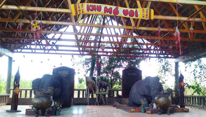 Cưới chồng, xây mộ cho voi - ảnh 1