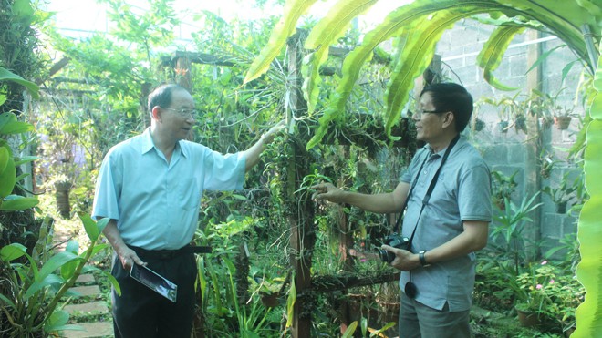 Vướng phải tình lan - ảnh 2
