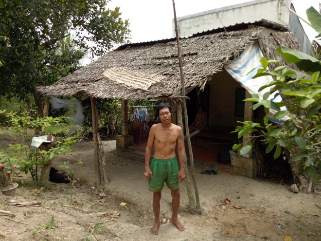 Mưu sinh trên... ngọn dừa - ảnh 1