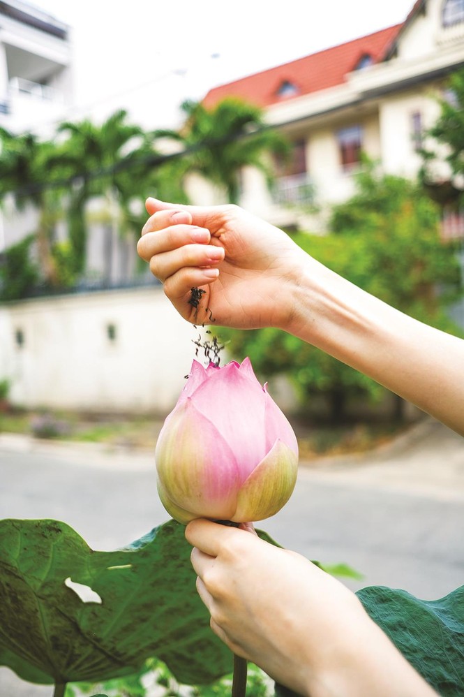 Sài Gòn đơn giản - ảnh 3
