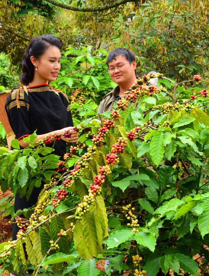 Trí thức trẻ ở làng Dao Organic - ảnh 1