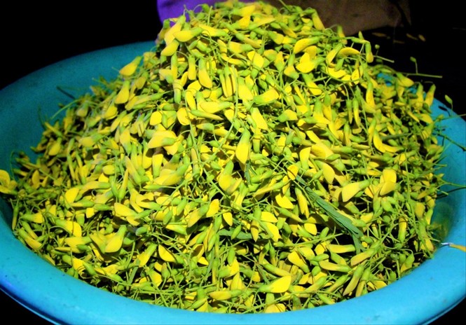 Xuyên đêm hái bông điên điển - ảnh 2