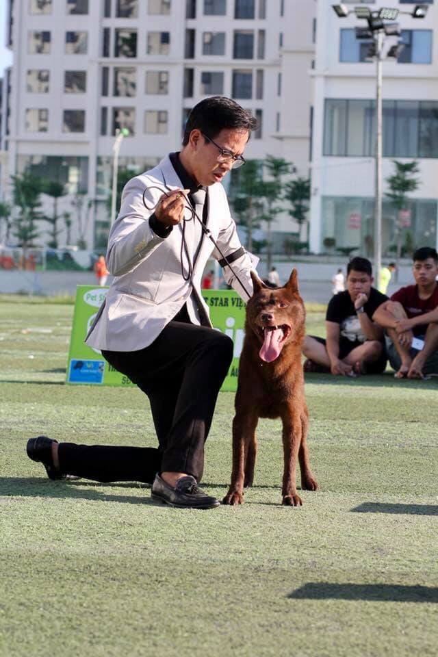 Độc đáo nghề chuyên… dắt chó đi thi - ảnh 3