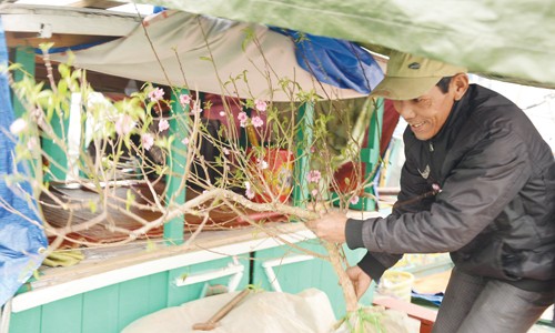 Lênh đênh trên làng chài di sản - ảnh 2