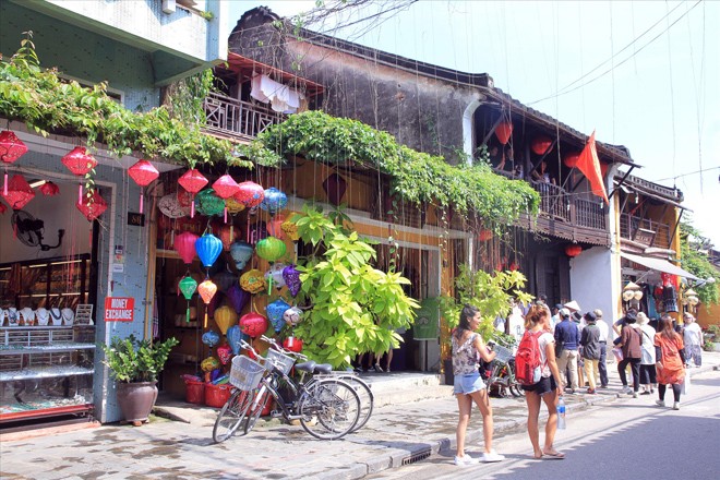 Mang Hội An về nhà - ảnh 1