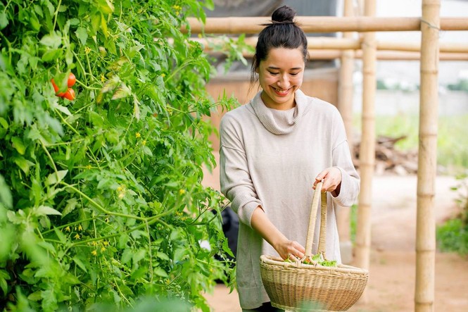 Nhiều người trẻ kiệt sức vì làm việc - ảnh 3