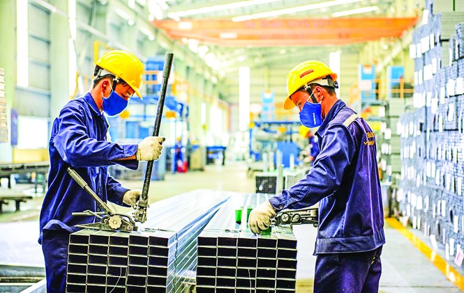 Cộng hưởng sức mạnh vì phồn vinh đất nước - ảnh 2