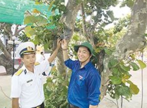 Độc đáo vật phẩm đấu giá gây quỹ Hỗ trợ tài năng trẻ - ảnh 3