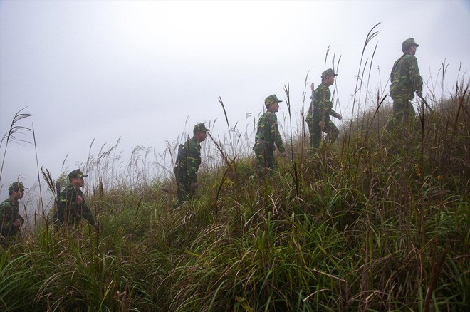 “Thiên đường bông lau” - ảnh 1