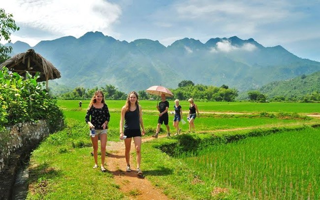 Nuôi bò, trồng lúa, ngắm hoa ... kiếm tiền nhờ đưa khách về làng - ảnh 1