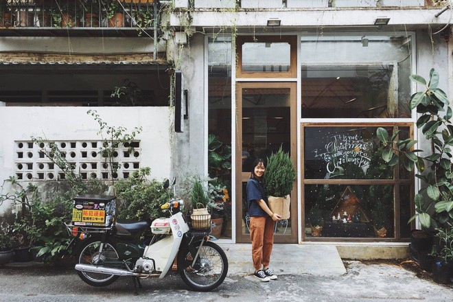 Bất ngờ với đạo cụ sống ảo 'gây sốt' mùa Giáng sinh năm nay - ảnh 3