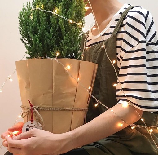 Bất ngờ với đạo cụ sống ảo 'gây sốt' mùa Giáng sinh năm nay - ảnh 6