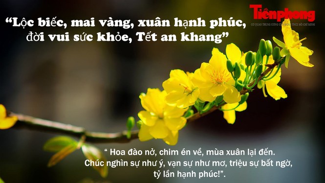 Lời chúc Tết Kỷ Hợi đem lại may mắn được chia sẻ nhiều nhất - ảnh 2