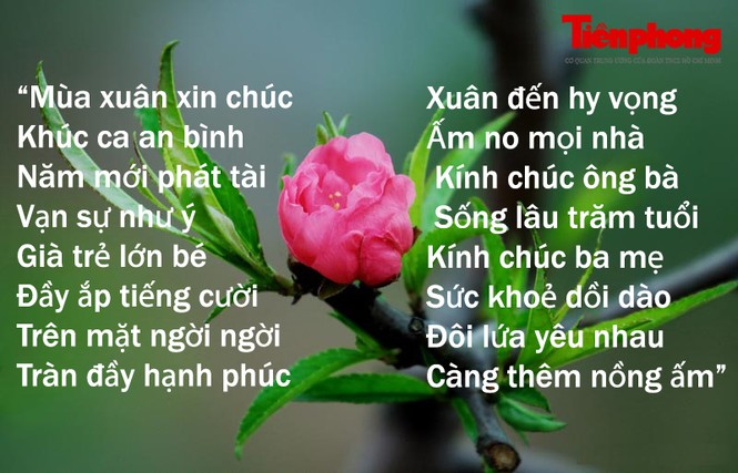 Lời chúc Tết Kỷ Hợi đem lại may mắn được chia sẻ nhiều nhất - ảnh 1