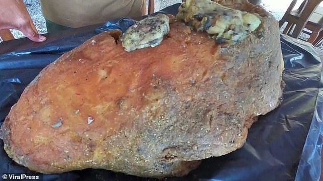 Nhặt được miếng xốp lạ về vứt góc vườn: Bất ngờ được trả giá gần 12 tỷ - ảnh 2