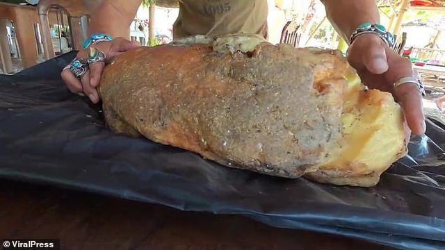 Nhặt được miếng xốp lạ về vứt góc vườn: Bất ngờ được trả giá gần 12 tỷ - ảnh 1