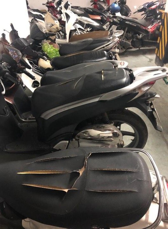 Gần chục xe máy bị kẻ xấu rạch nát yên tại chung cư ở Hà Nội - ảnh 1