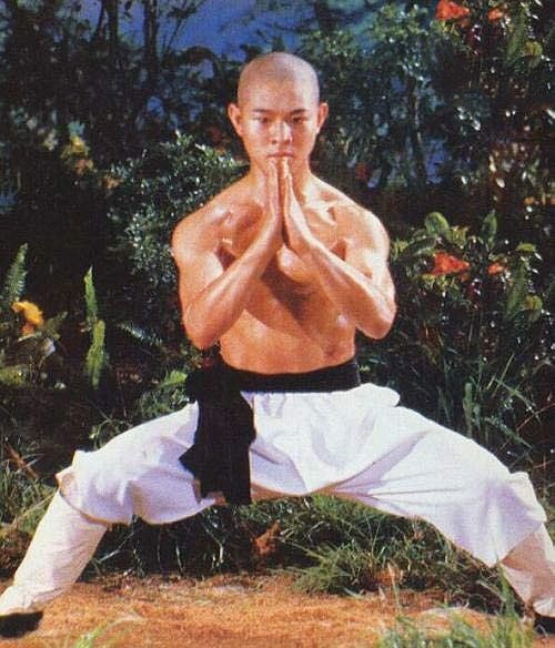 Lý Liên Kiệt gây 'sốc' khi tiết lộ cát-xê 'không tưởng' thời phim 'Thiếu Lâm Tự' - ảnh 1