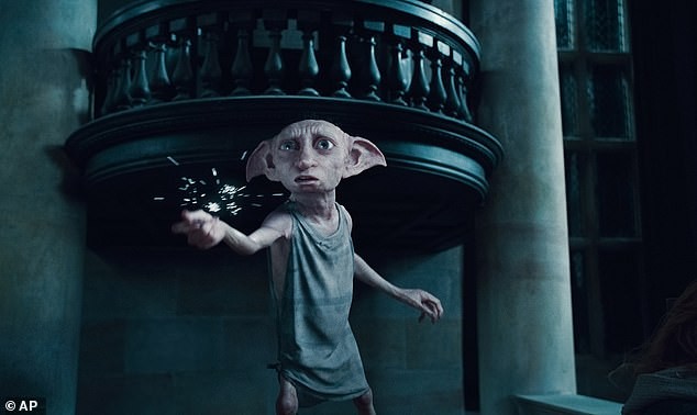 Tranh cãi về video ghi lại hình sinh vật giống yêu tinh Dobby ngoài đời thật - ảnh 4