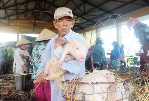 chợ heo - ảnh 2