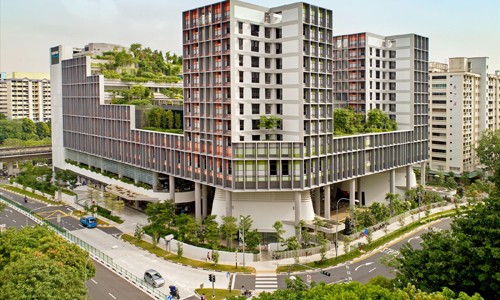 Đề xuất nông nghiệp hóa nội thành Hà Nội - ảnh 2