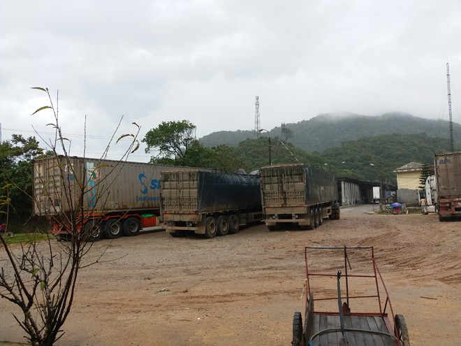 xe container - ảnh 2