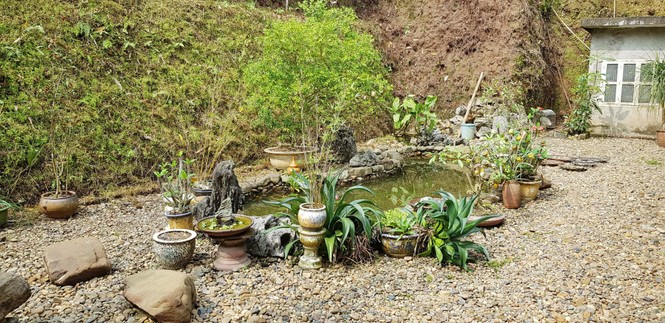 Nhớ Văn Cao ở gia trang người con trưởng - ảnh 1