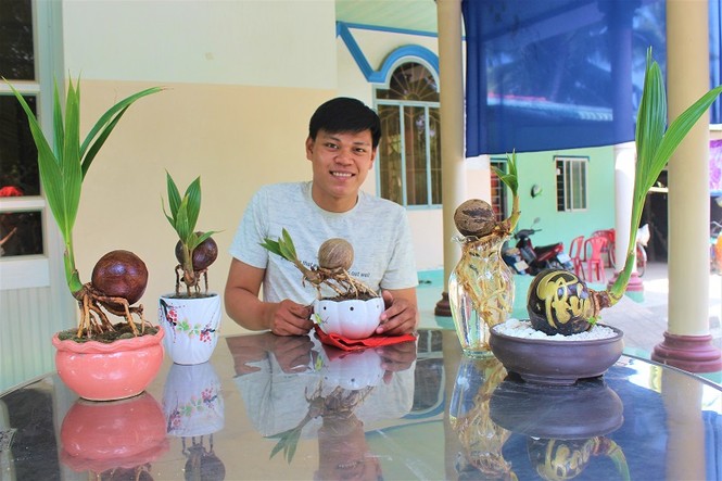 Bonsai dừa độc đáo, sản phẩm khởi nghiệp của chàng trai 9X Bến Tre - ảnh 1