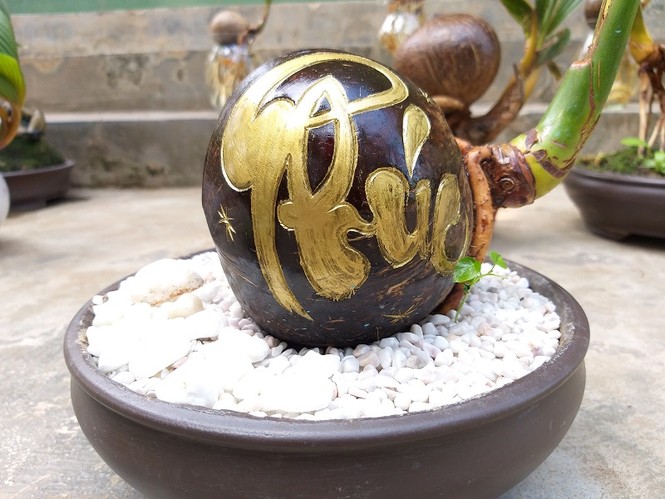 Bonsai dừa độc đáo, sản phẩm khởi nghiệp của chàng trai 9X Bến Tre - ảnh 3