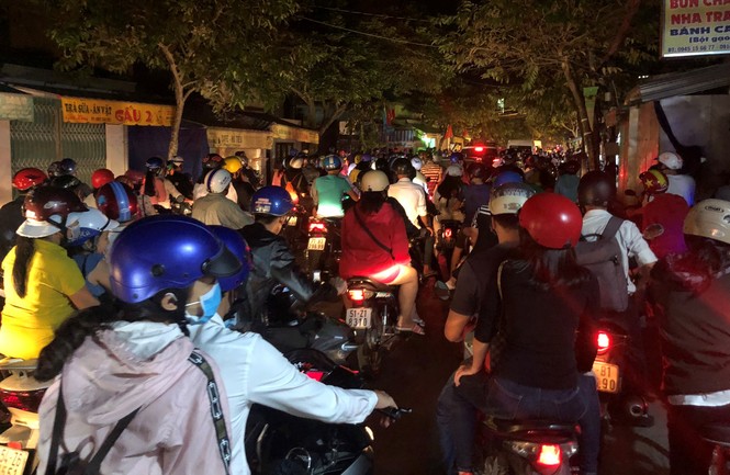 Hàng chục ngàn người đổ về Bến Tre tham quan lễ hội dừa - ảnh 12