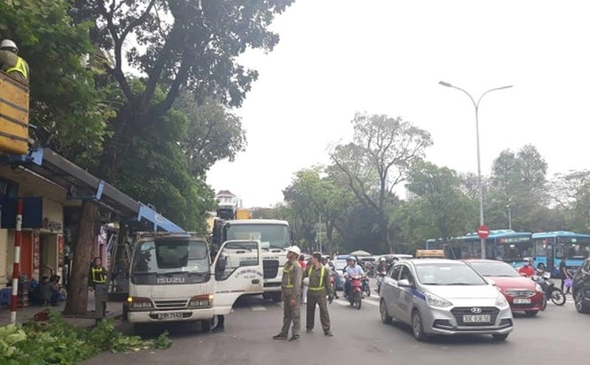 Cắt tỉa cây xanh giờ cao điểm, người dân Hà Nội lo ngại tắc đường - ảnh 3