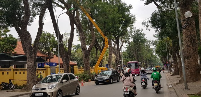 Cắt tỉa cây xanh giờ cao điểm, người dân Hà Nội lo ngại tắc đường - ảnh 1