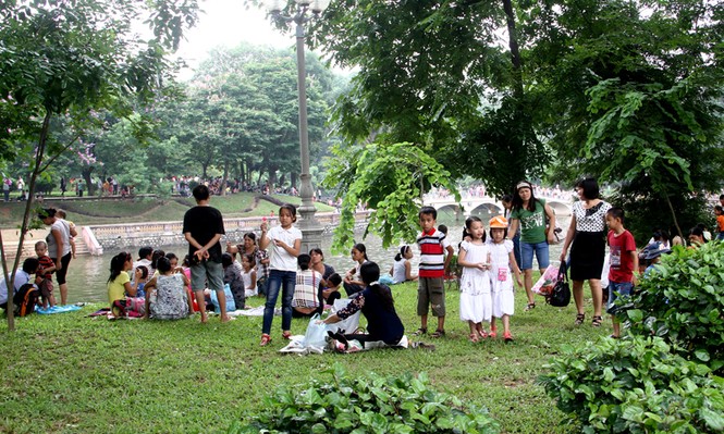 Nhiều người vẫn giẫm lên cỏ như thường