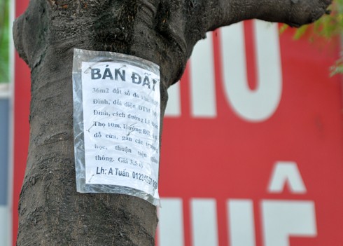 Người rao bán có cả chủ nhà và sàn giao dịch