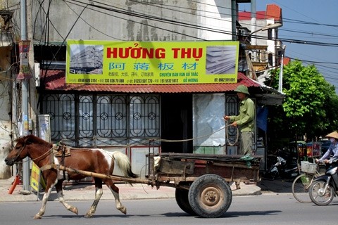 Cửa hàng quảng cáo bán gỗ trắc, gỗ hương với dòng chữ Trung Quốc khá lớn