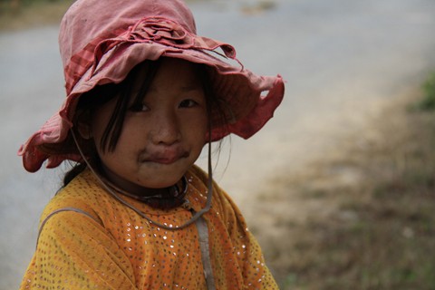 Bé gái co người vì lạnh khi đi chăn bò trên vùng núi cao thuộc xã Lũng Cú. Ảnh: Trường Phong.