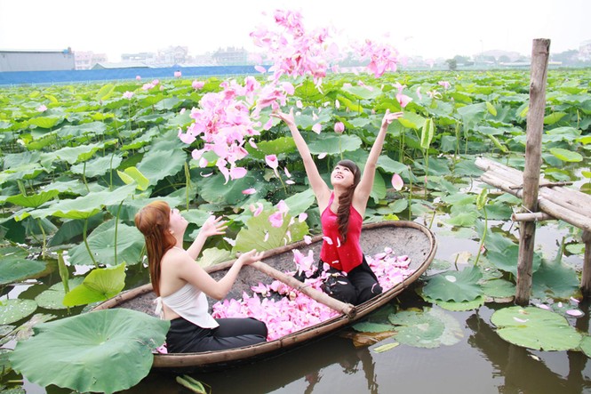 hay Văn Dũng với Mùa sen trong vẻ đẹp hồn nhiên của thiếu nữ