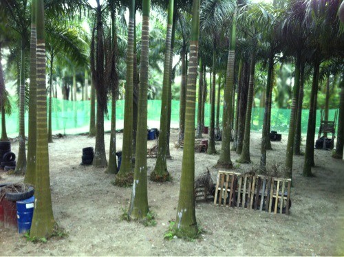 Địa hình lý tưởng cho các chiến binh chiến đấu
