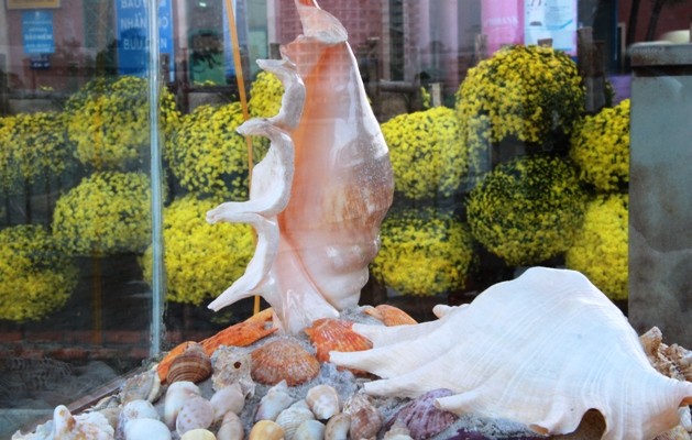 . Ốc biển- biểu tượng hoạt động đánh bắt, khai phá ngư dân trên các vùng biển Việt Nam tại đường Hoa cùng góc trưng bay thuyền, giỏ cá, vó... tạo không gian truyền thống biển đảo sinh động